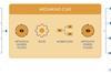 MediaKind_CMS diagram_noboarder_hr_cmyk 3x2