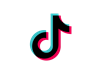 2. TikTok